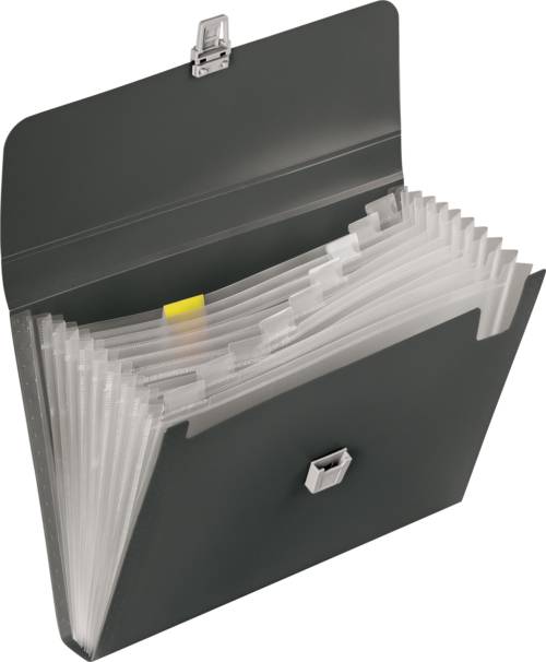 Cartella a scomparti BRUNNEN, cartella a scomparti, 10 pezzi, DIN A4, 10 scomparti, grigio-1