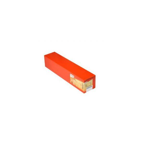 Canon Standard - Non patinata - Rotolo (36" x 50 m)-0
