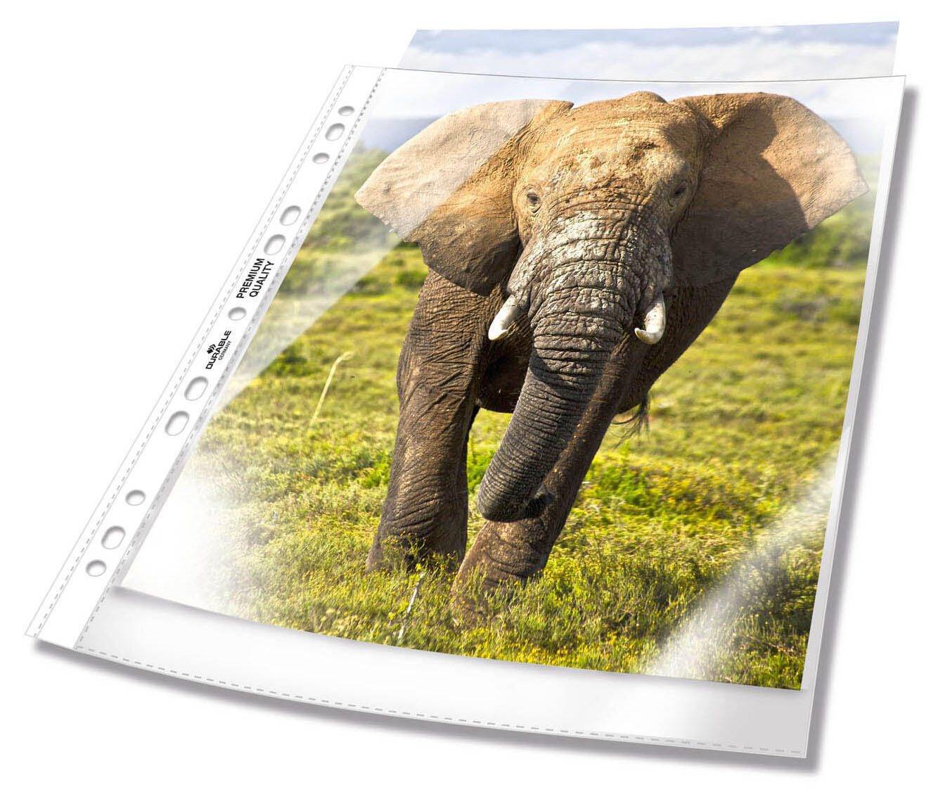 DUREVOLI buste per brochure DIN A4 extra larghe 0,08 mm cristalline-0