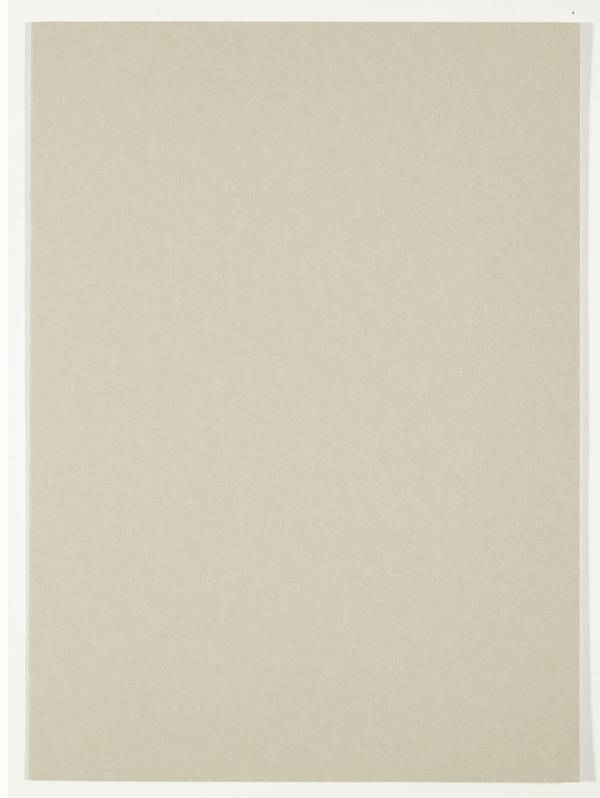 100 Aktendeckel Smart Line grau (100091653)