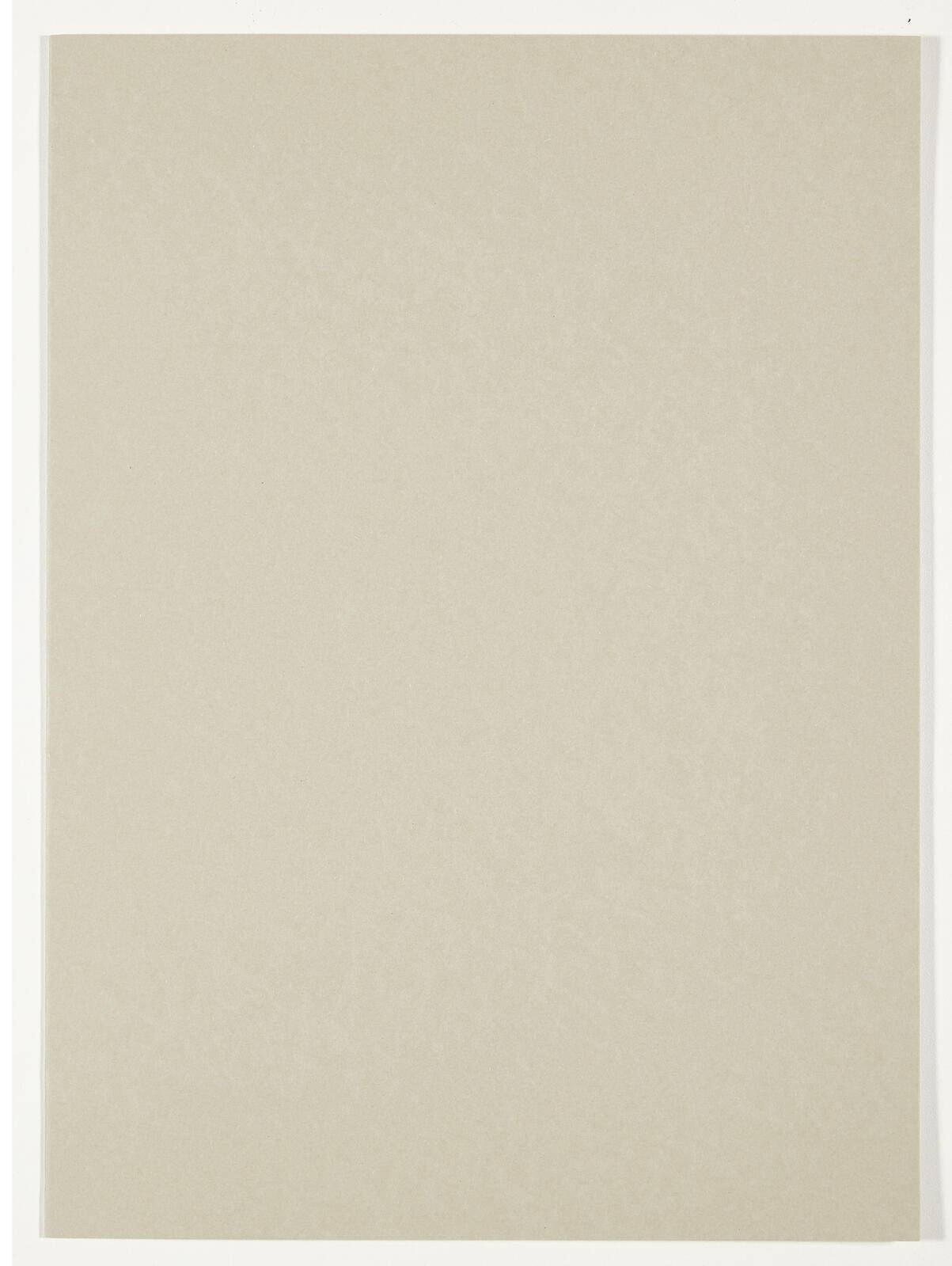 100 Aktendeckel Smart Line grau (100091653)-0