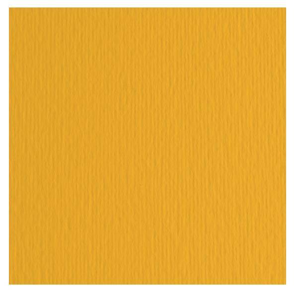 Cartoncino Bristol Elle Erre 70x100 pz.10 avana-2