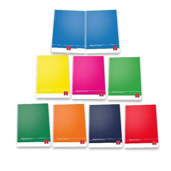 Pigna 02308750C quaderno per scrivere A4 Multicolore-2