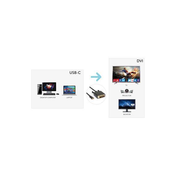 CAVO VIDEO USB-C A DVI-D M-2