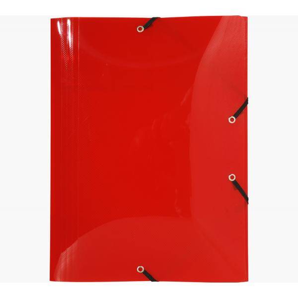 CF5 CARTELLINE CON ELAST COL. ASS.-3