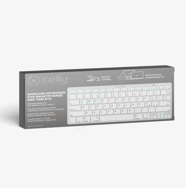 SW KEYBOARD WIRELESS SILVER-1