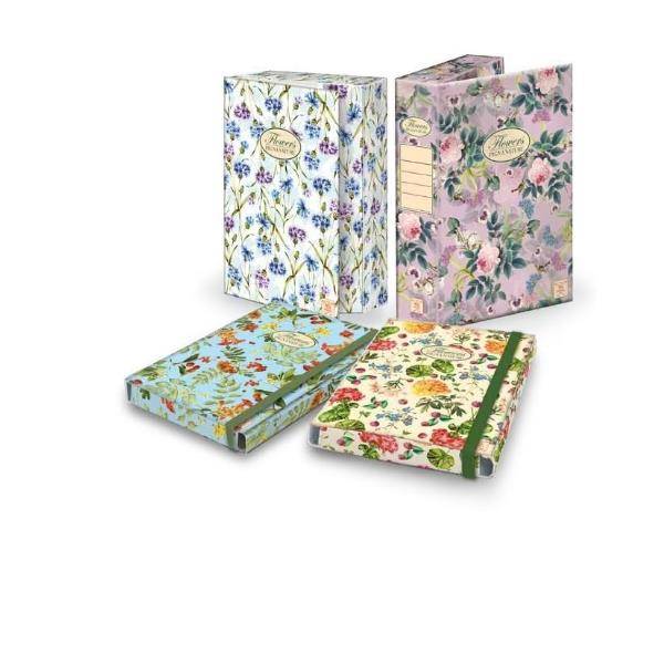 Pigna 02303643L cartella Multicolore-2