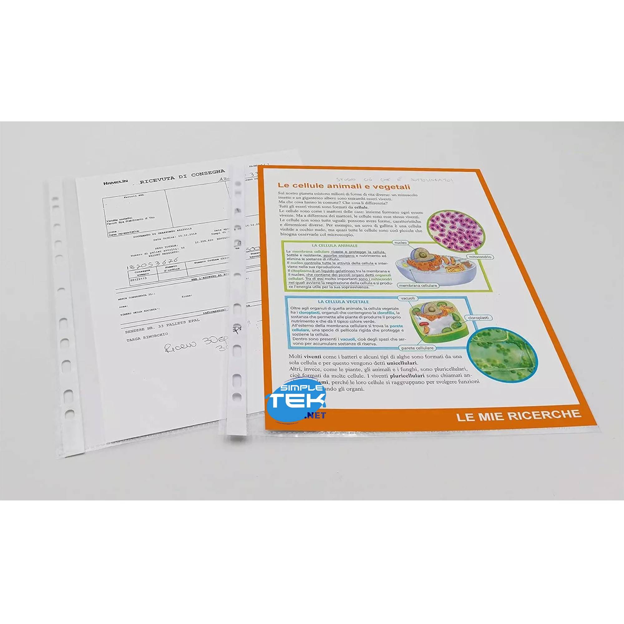 50 X Buste Forate Alto Spessore 22x30 Per Raccoglitori Ad Anelli Documenti-2