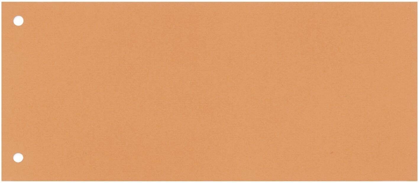Separatore per archivio con due fori Q-Connect 24x10,5 cm 190 g/m² arancio conf. da 100 - KF00519-1