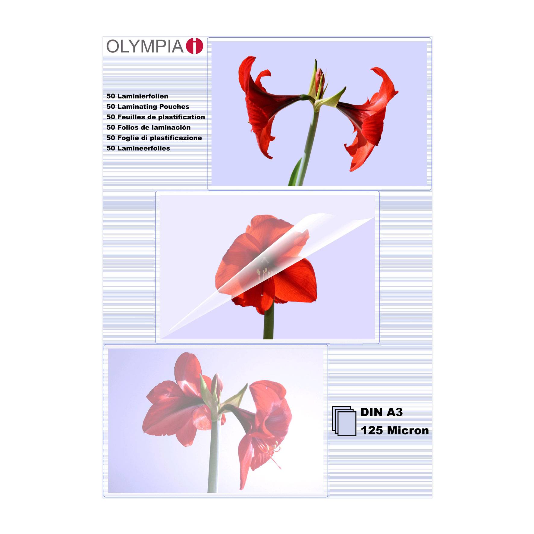OLYMPIA Folienset 125 Mikron A3 - 50 Stk. (9175)-0