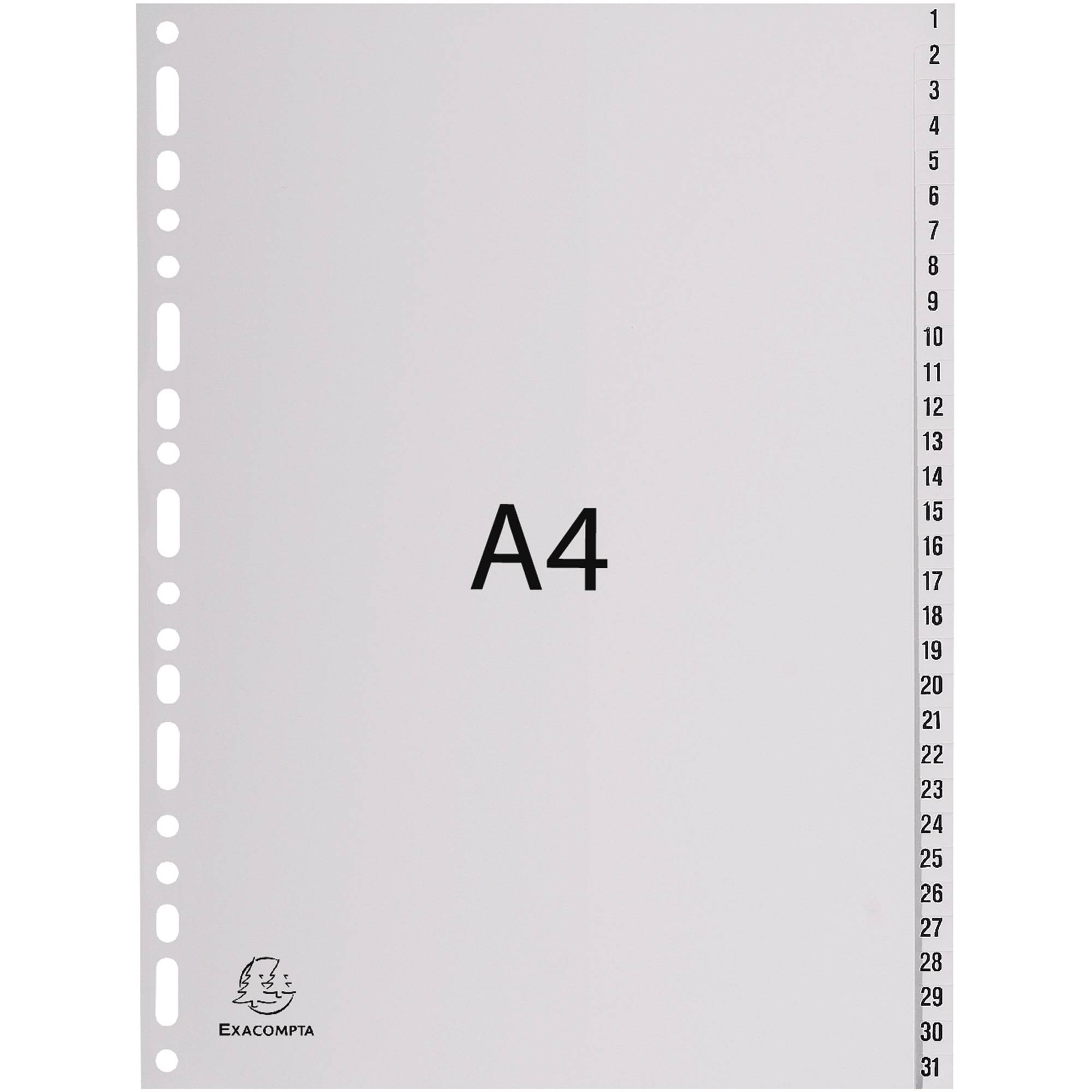 Registro Exacompta Registro A4 PP grigio 1-31 pezzi grigio-0
