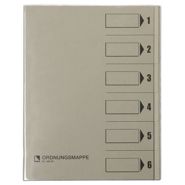 cartella di classificazione bene Rc grigio 250 g 6 tl DIN A4 6 volte grigio