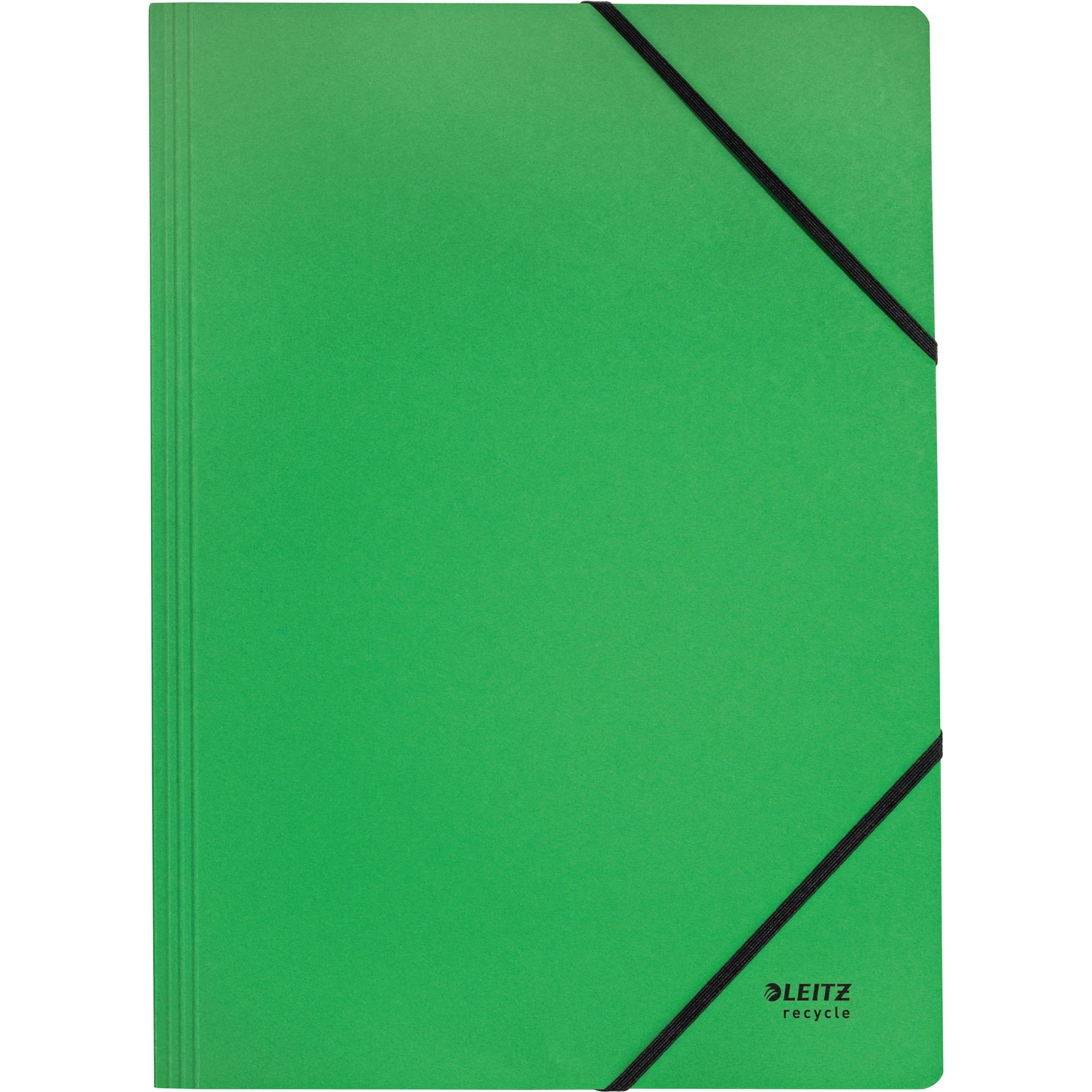 Leitz 39080055 cartella Cartoncino Verde A4-0