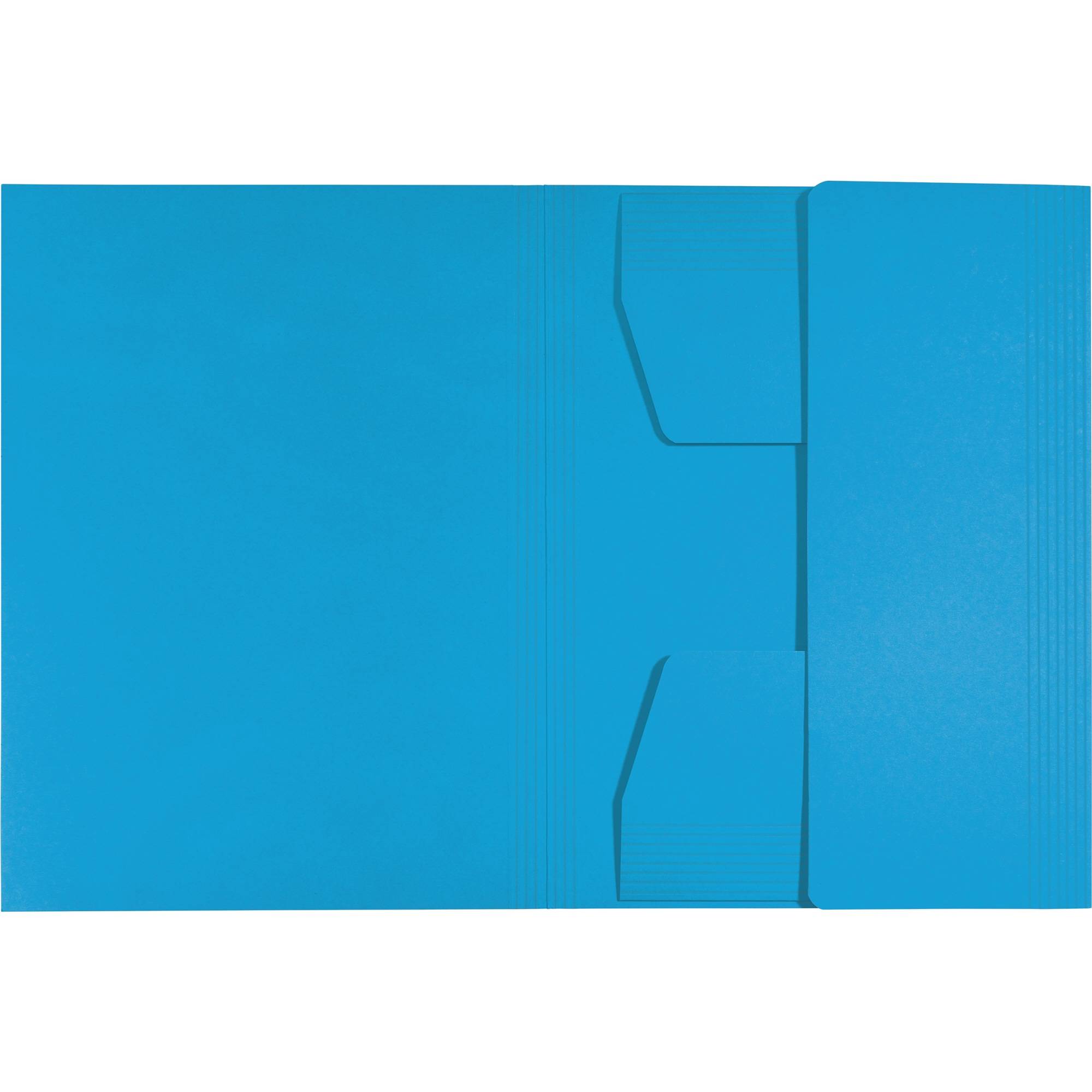 Leitz 39060035 cartella Cartoncino Blu A4-0