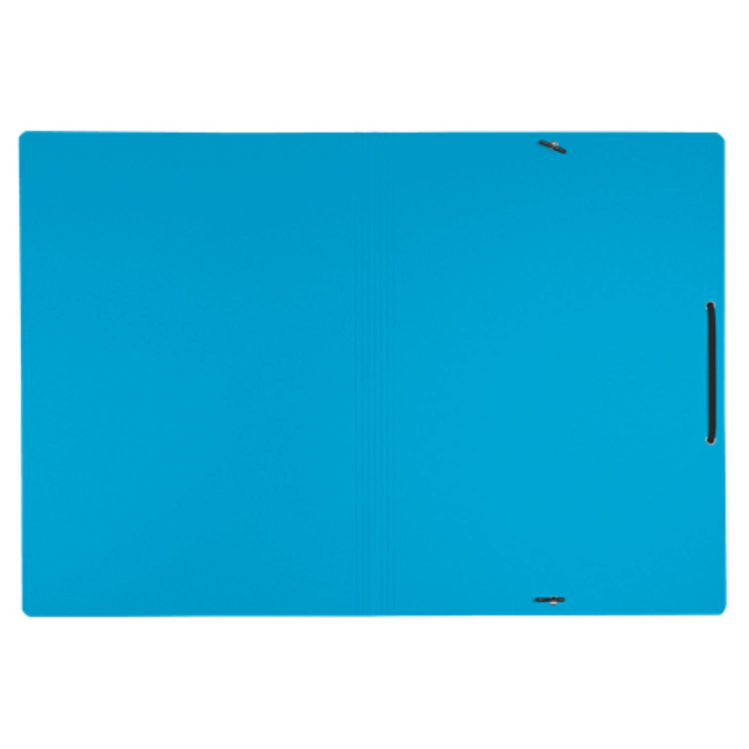 Leitz 39080035 cartella Cartoncino Blu A4-1