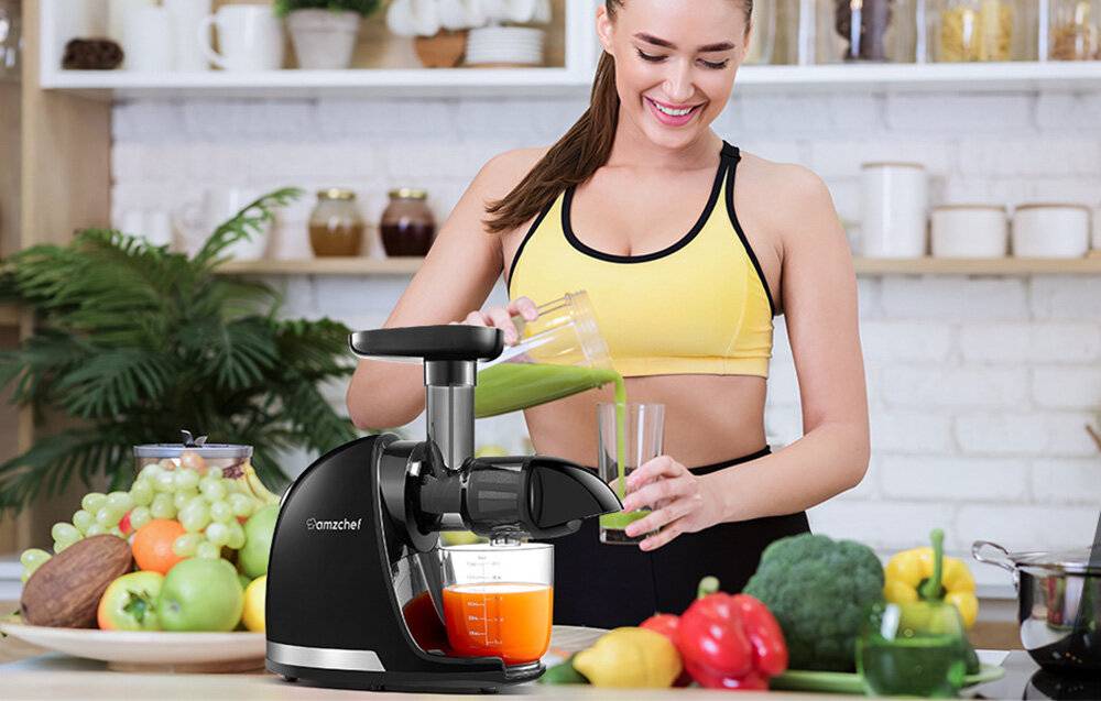 AMZCHEF - 1501-GA - Slow Juicer AMZCHEF 1501-GA (Grey)-1