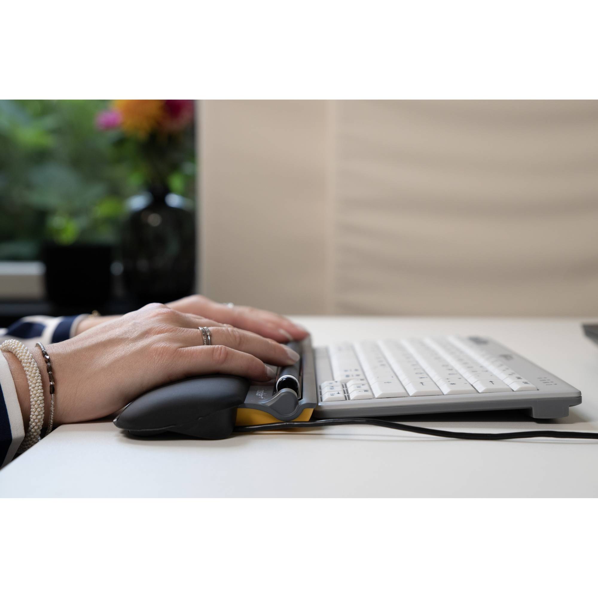 Bakker Elkhuizen Maus ErgoSlider Plus Central Mouse retail (BNEESLDG)-3