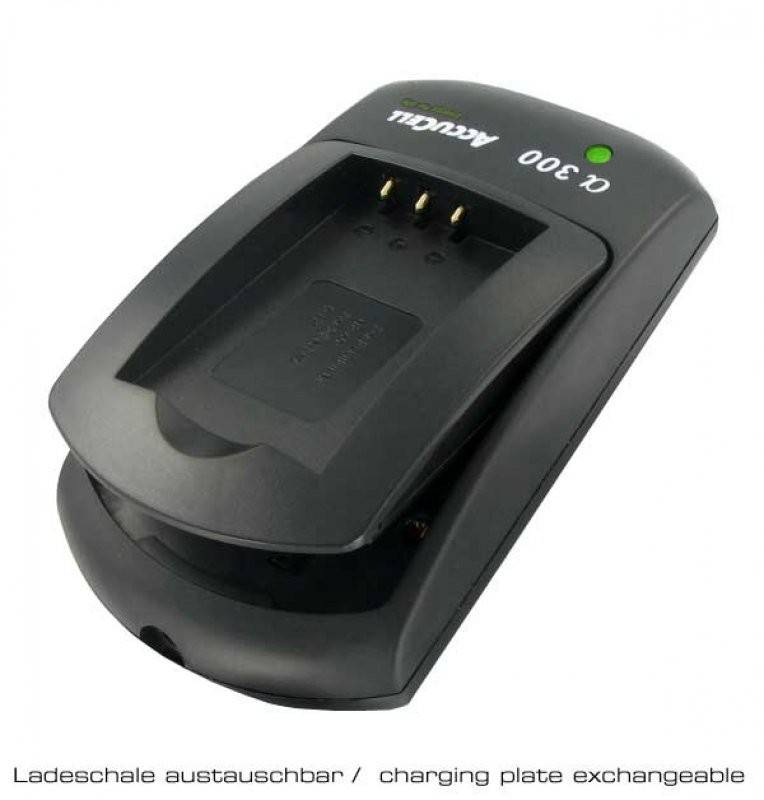 Caricabatterie AccuCell adatto per Ricoh DB-50, Caplio R1, R2, RZ1-1