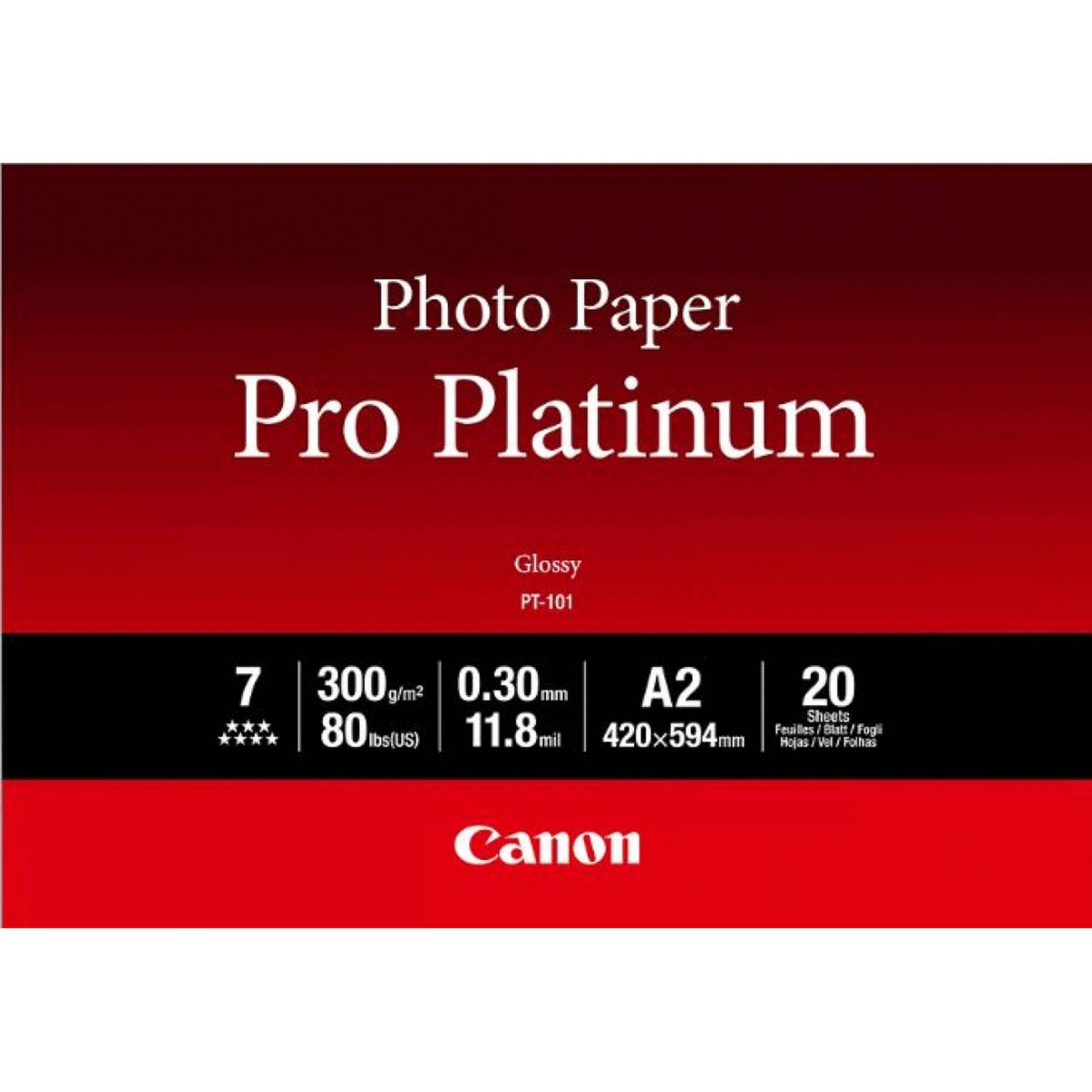 Canon Pro Platinum PT-101 - Lucida - 300 micron - A2 (420 x 594 mm)-3