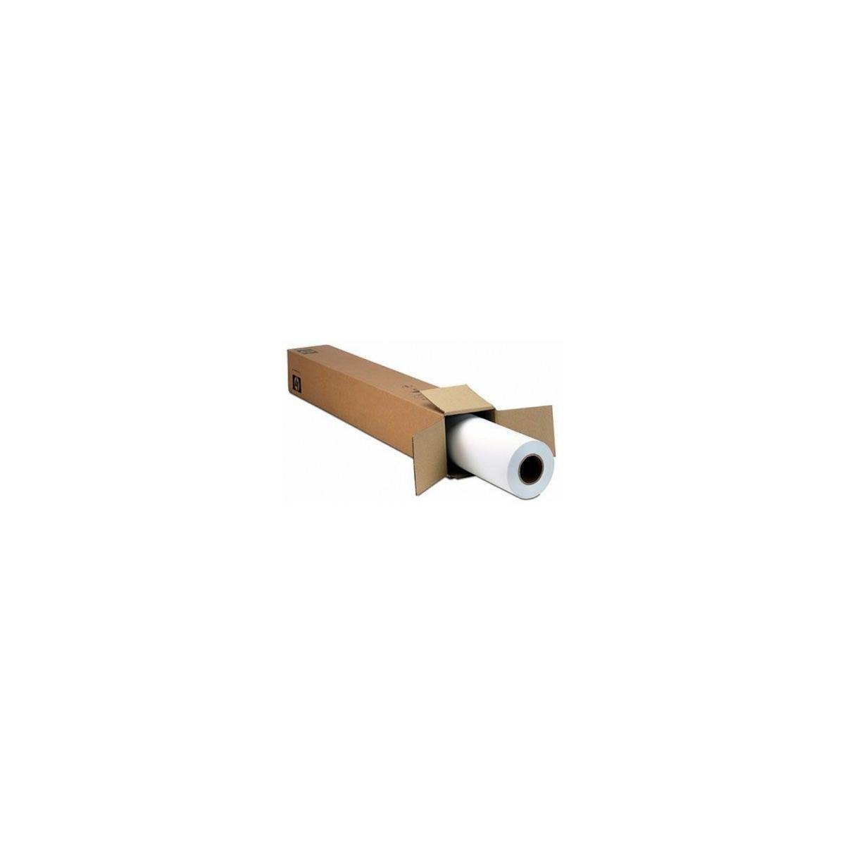 Carta fotografica Epson Premium Semilucida (170) - Semilucida - Rotolo (152,4 cm x 30,5 m)-5