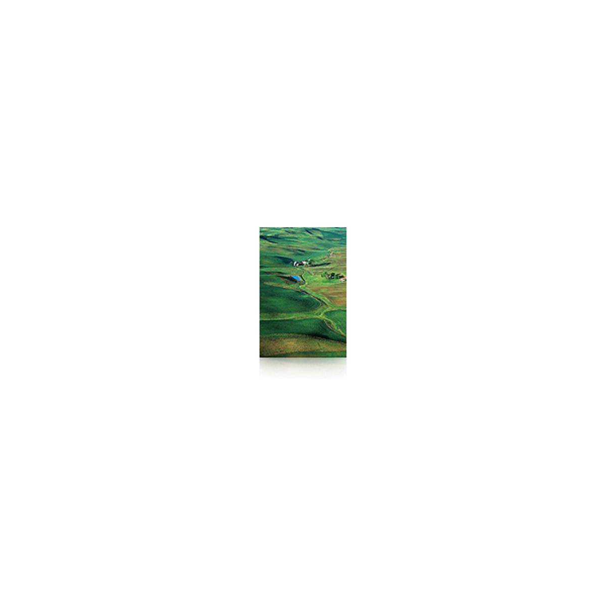 Epson Premium SemiGloss Photo Paper(250), in rotoli da 152, 4cm x 30, 5m-5