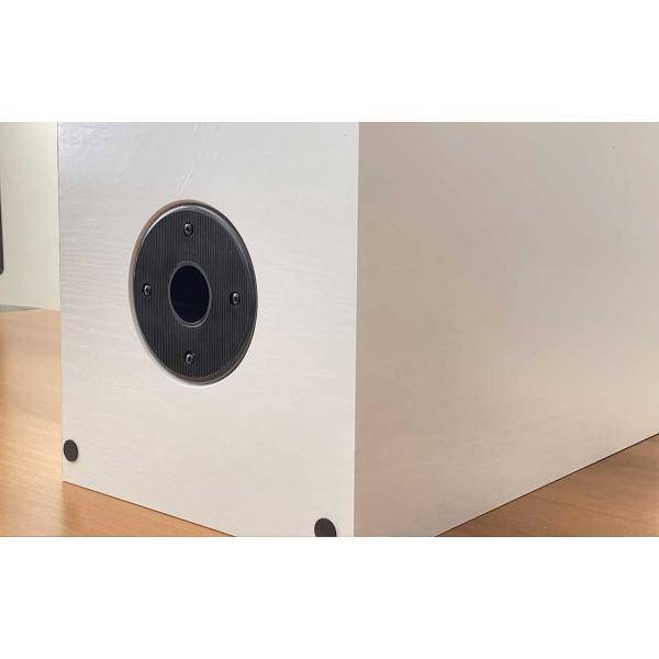 SPEAKER EMPIRE HS290 290W 80-20K HZ RCA XLR BALANCED WHITE-2