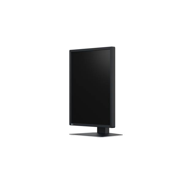 EIZO RadiForce MX217-SB Monitor PC 53,3 cm [21] 1200 x 1600 Pixel UXGA LCD Nero (2MP EIZO RADIFORCE MX217-SB)-2