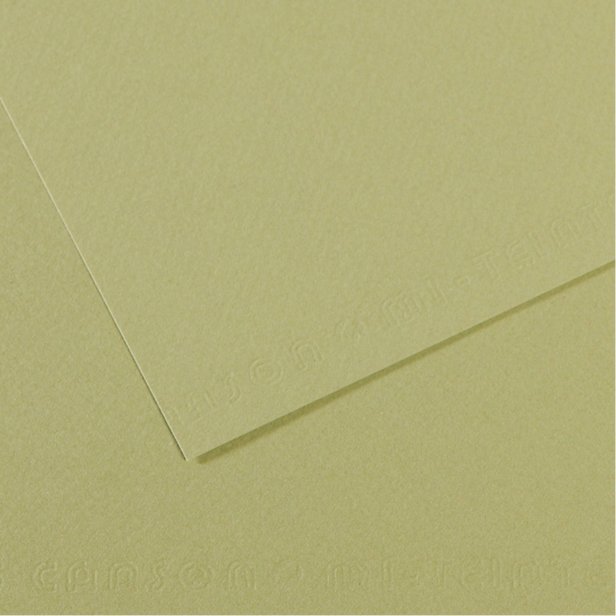 Foglio Mi-Teintes - A4 - 160 gr - verde mandorla - Canson-0