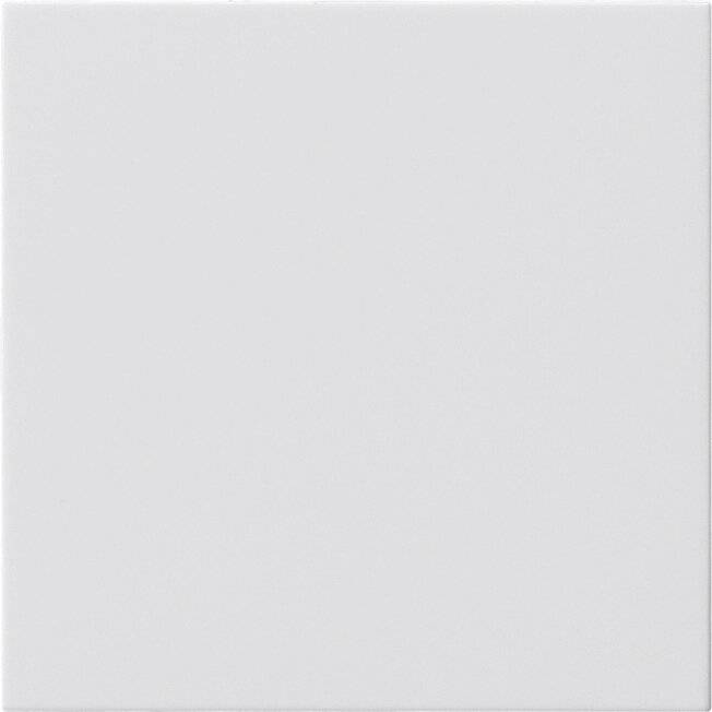 GIRA 810803 Blindabd. o.Tragring System 55 Reinweiß (810803)-1