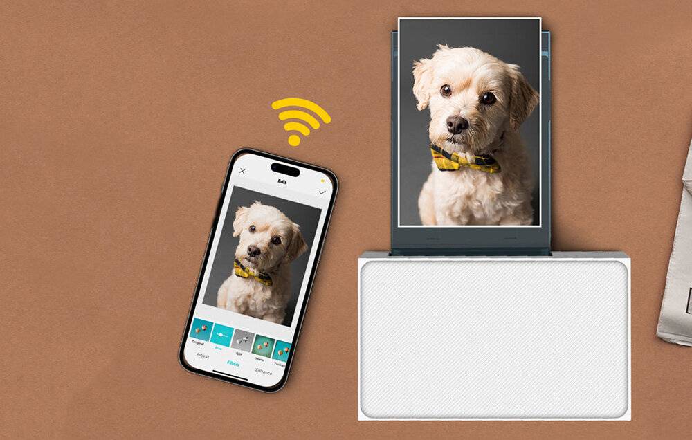 Immagine simbolo per Liene - FN001-65005 - Liene Amber M100 4x6" portatile Fotodrucker