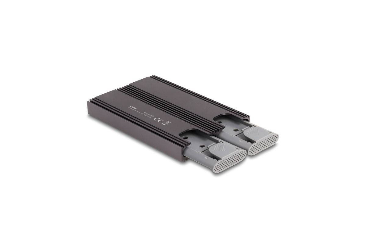 Delock Custodia doppia combo esterna USB Type-C per 2 x M.2 NVMe PCIe o SSD SATA - senza attrezzi-1