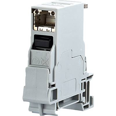 Modulo elettronico grigio con connettore Ethernet e meccanismo di bloccaggio, destinato al montaggio su guida DIN per applicazioni industriali.