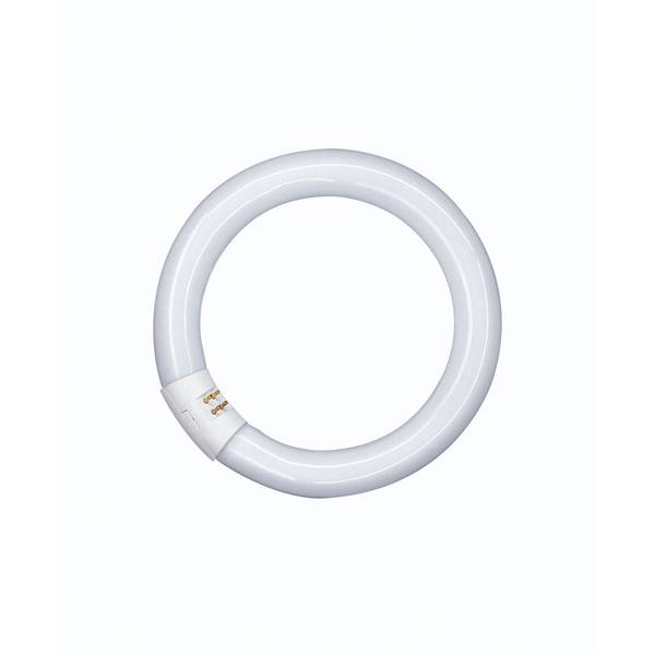 OSRAM - 4050300014845 - LUMILUX® T9 C 40 W/840 G10Q