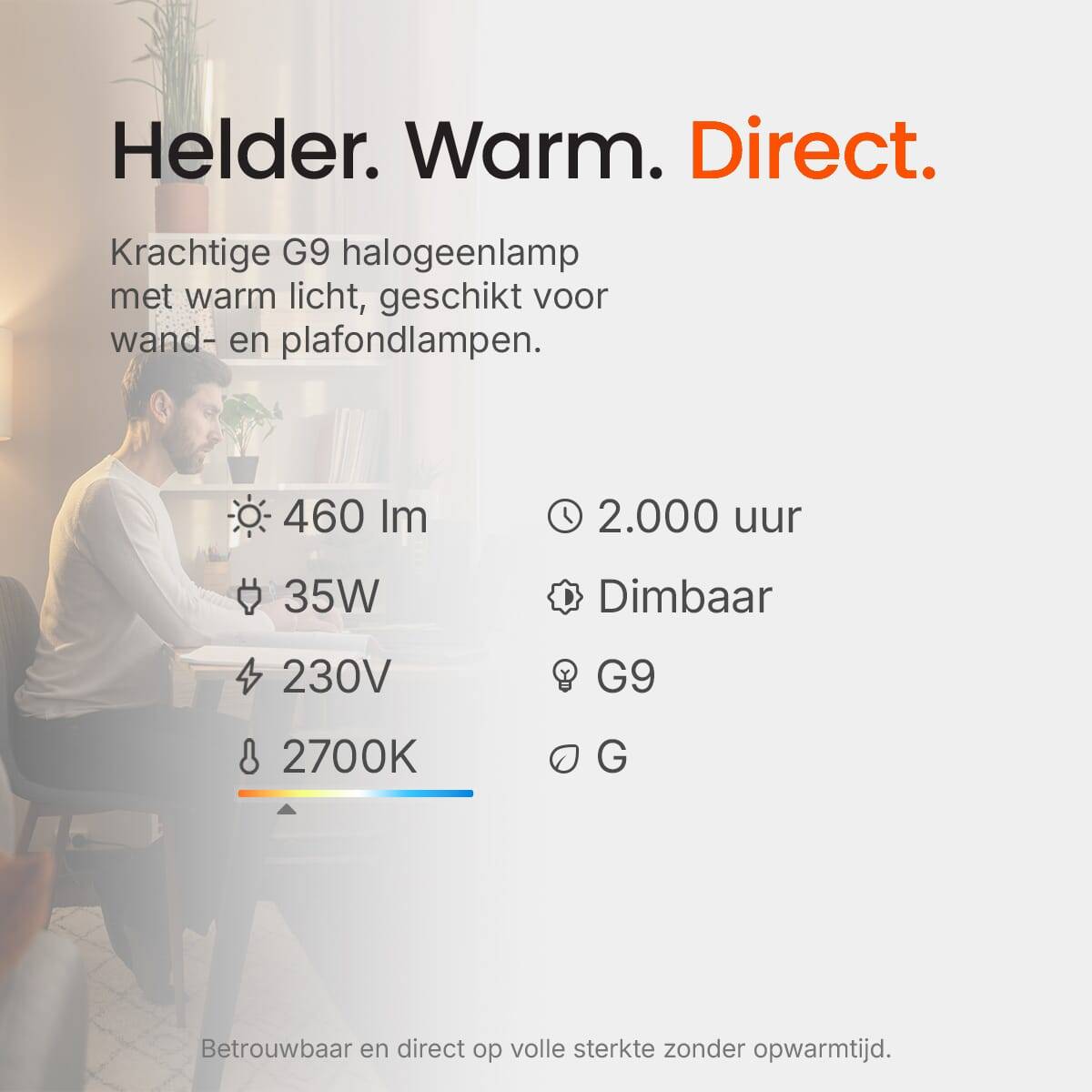 OSRAM - 4008321226327 - HALOPIN® 66733 SST 33W 240V G9 BLI1 OSRAM-2