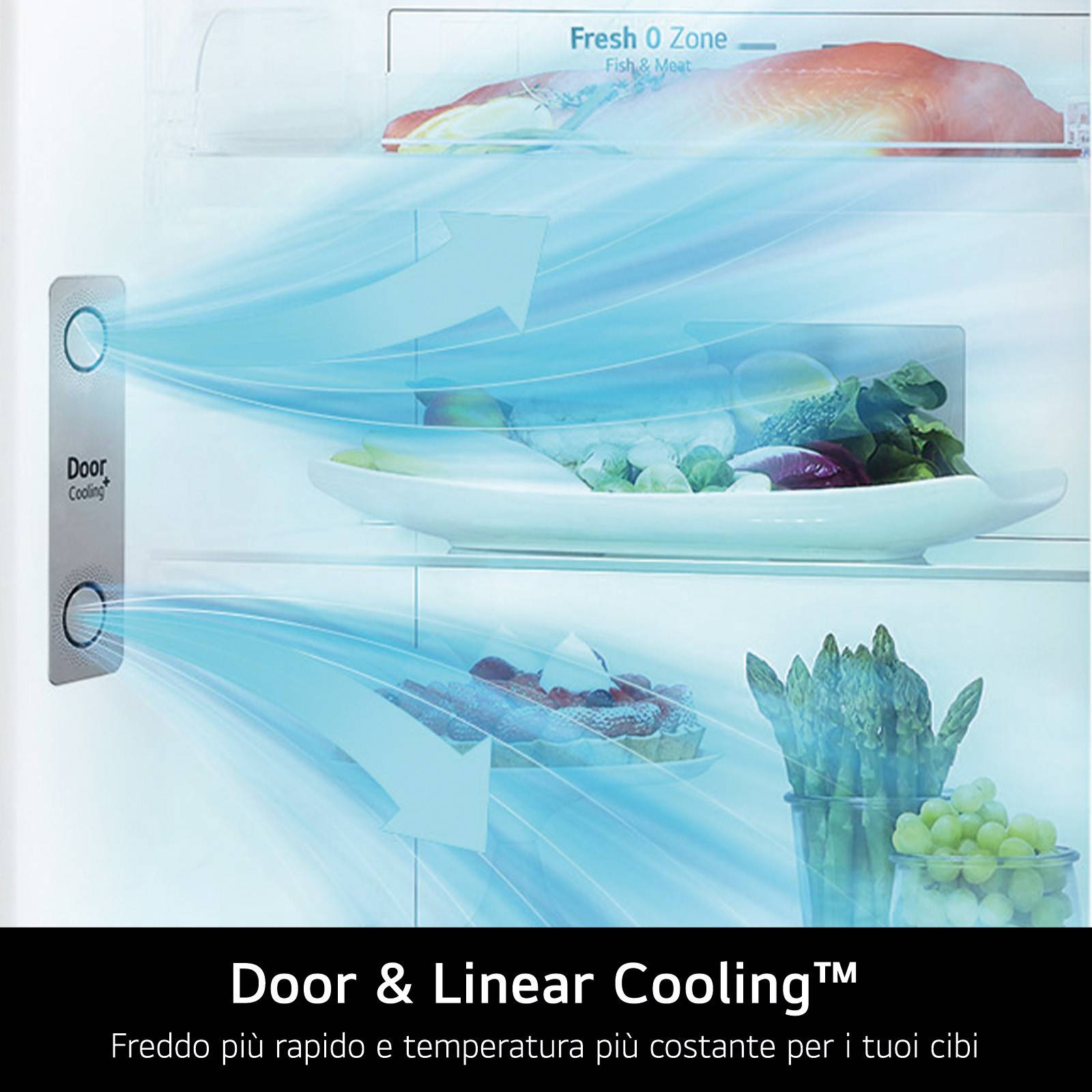 LG GTB744BMBED Frigorifero doppia porta, Classe E, 506L, Porte in vetro, Door Cooling,Nero-3