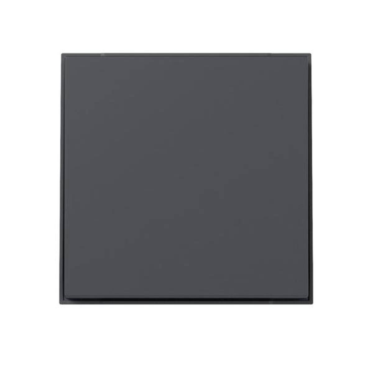 GIRA Wippe 349667 gerade TX44 anthr (349667)-0