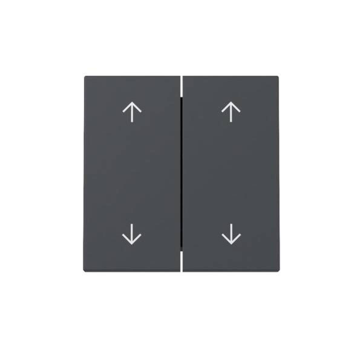 GIRA Wippe 329728 2f Pfeile Sys.55 anthr (329728)-0