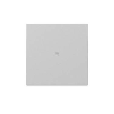 GIRA Wippe 3290015 Kontrollf.Sys.55 gr m (3290015)