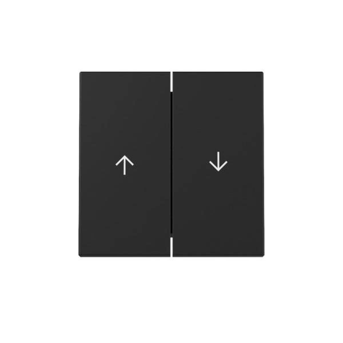 GIRA Wippe 3294005 2f Pfeil Sys.55 sw m (3294005)-0