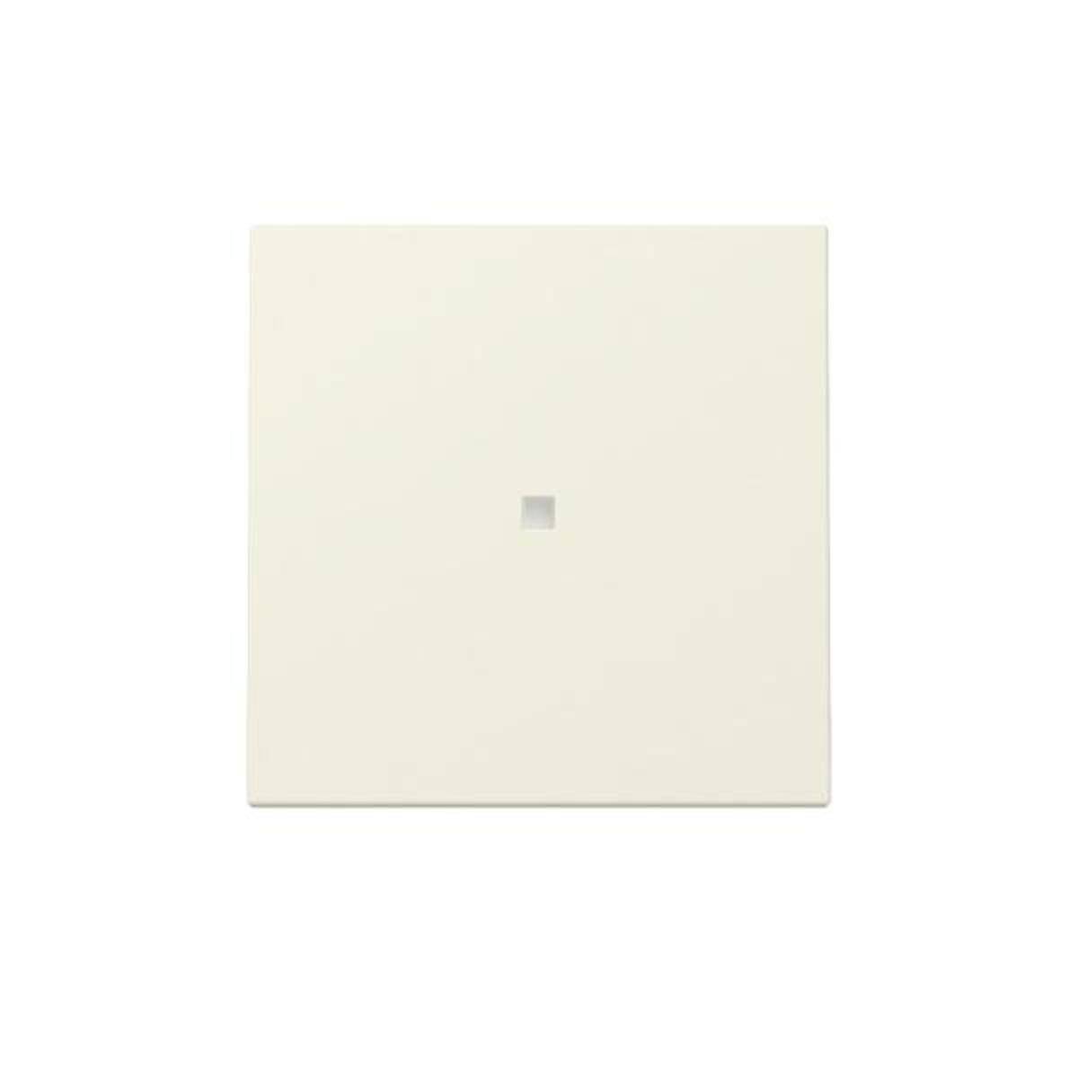 GIRA Wippe 329001 Kontrollf.Sys.55 cws (329001)-0