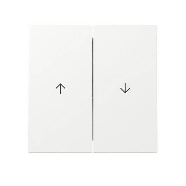 GIRA Wippe 329470 2f Pfeil FL RW (329470)
