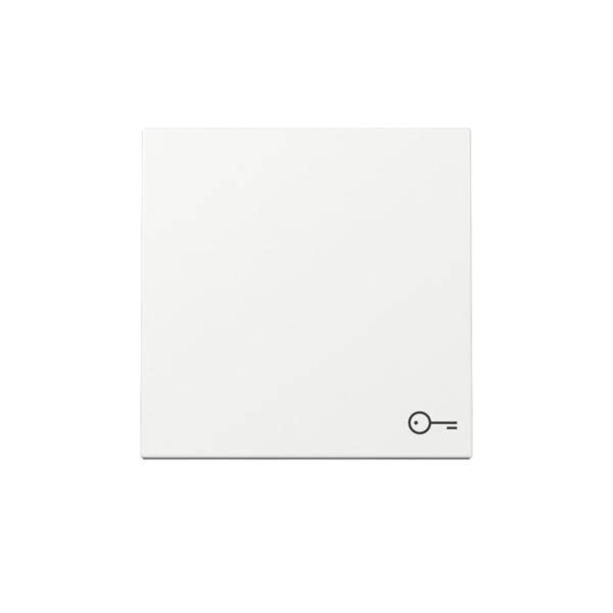 GIRA Wippe Symb.Tuer System 55 328703Reinweiß (328703)-0