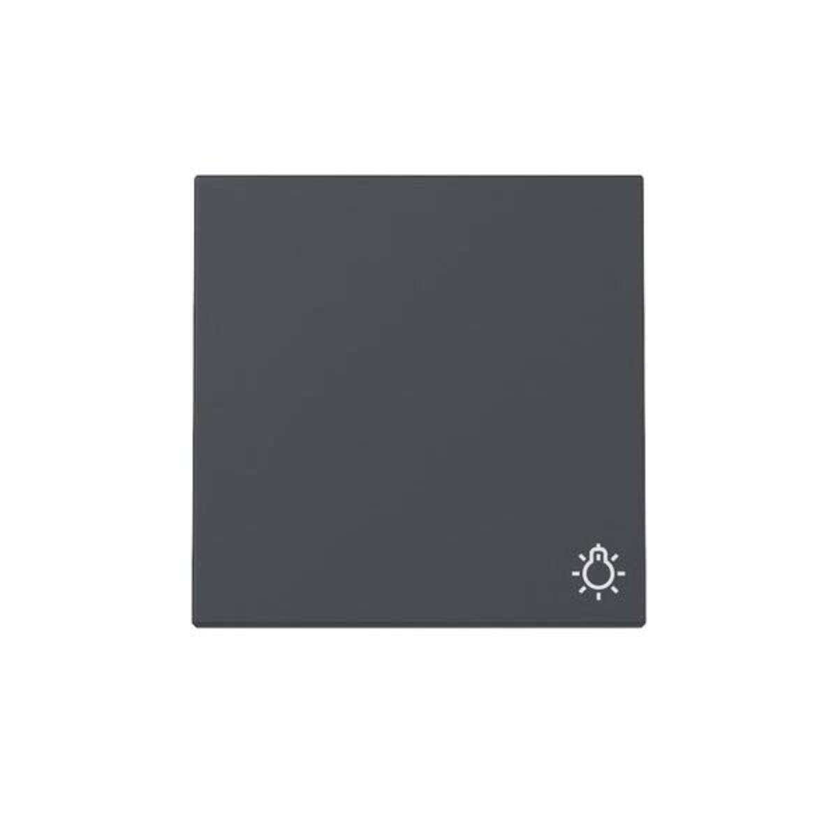 GIRA Wippe 328528 Symb.Licht Sys.55 anthr (328528)-0