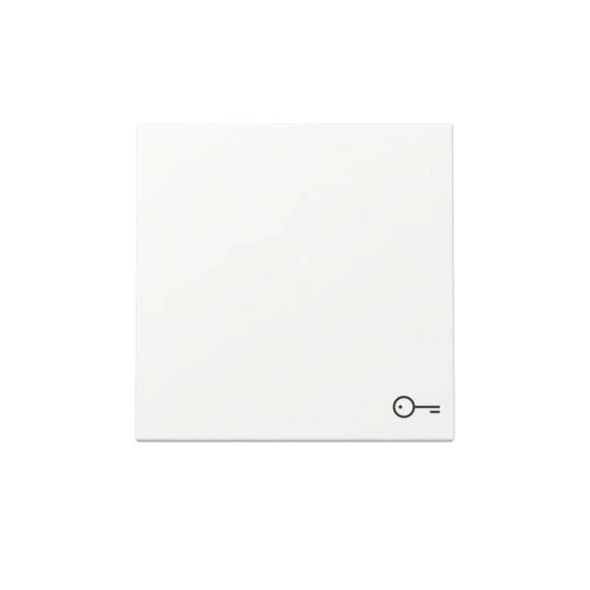 GIRA Wippe 328727 Symb.Tuer Sys.55 rws m (328727)-0