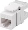 Modulo Goobay Keystone RJ45 CAT 5e, UTP - Larghezza 20 mm, morsettiera per montaggio LSA (senza attrezzi)