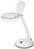 Lampada d'ingrandimento da terra Goobay LED 6W - 80-450lm Lente in vetro dimmerabile da 100 mm Ingrandimento 1,75x 3...