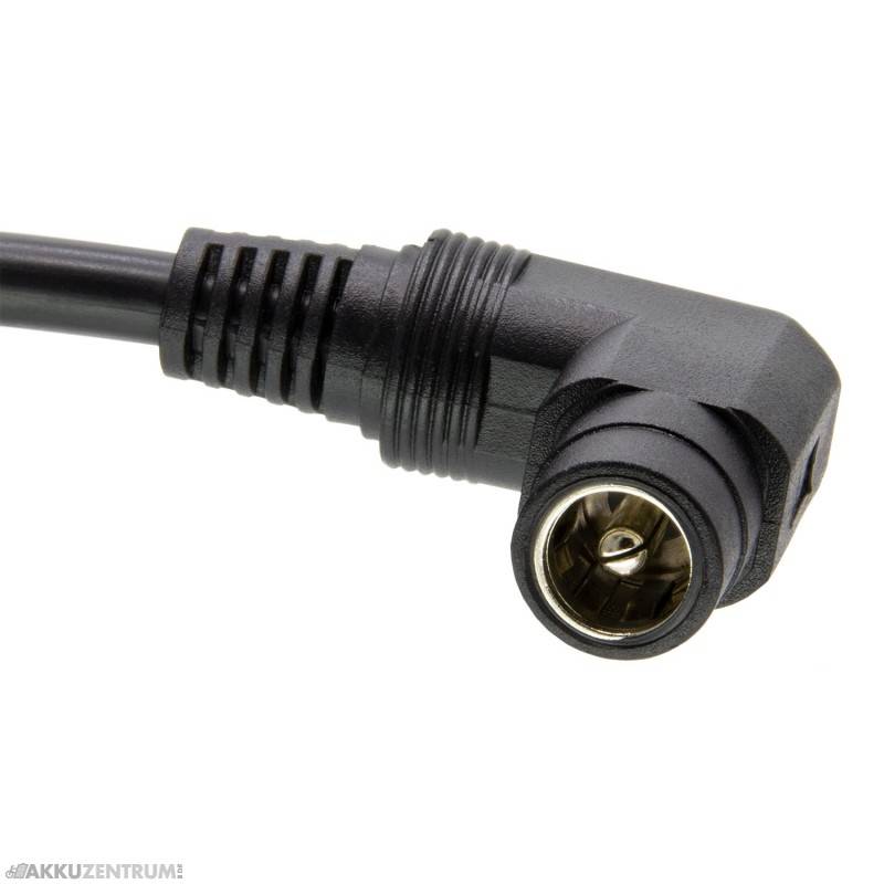 Caricabatterie per bici elettrica Caricabatterie Phylion 29,0 V / 2,0 A - RCA angolato-2