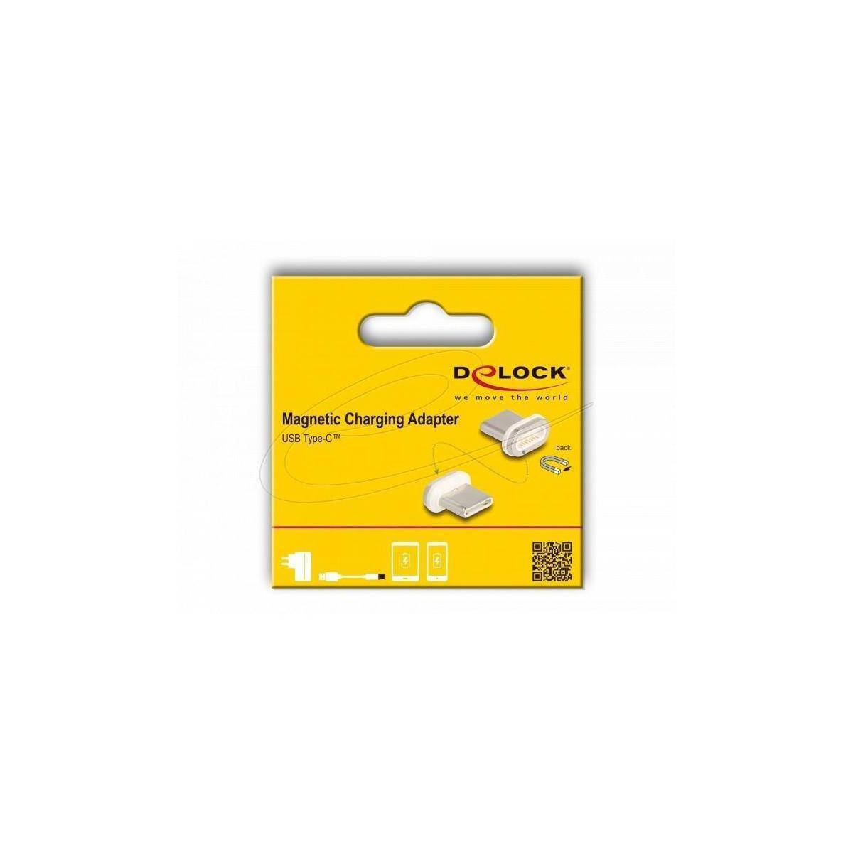 Delock Magnetischer Adapter USB Type-C Stecker (66588)-2