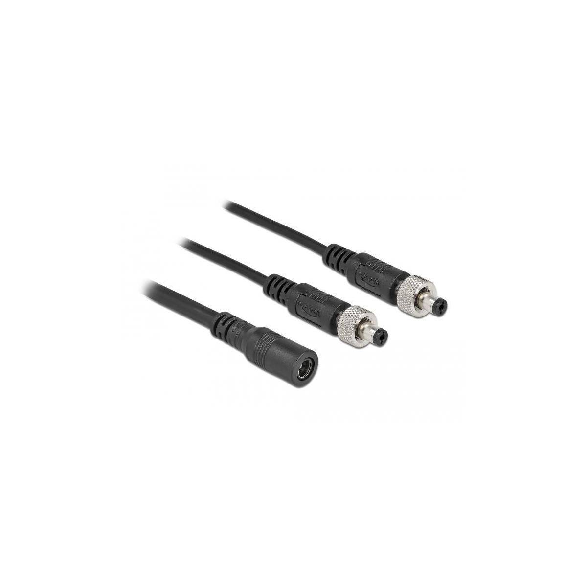 Delock - Netz-Splitter - Gleichstromstecker 5,5 x 2,1 mm (W) bis Gleichstromstecker 5,5 x 2,1 mm (M) schraubbar - 30 V --1