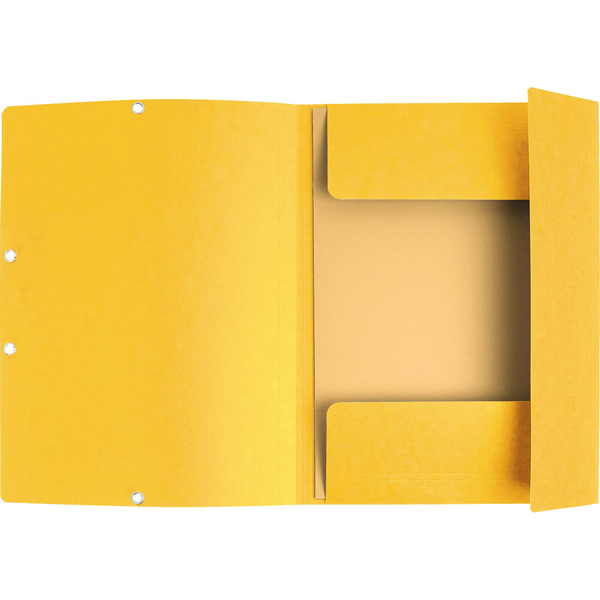 Cartella 3 Lembi con Elastico Nature Future Exacompta - Dorso 1,5 - 24x32 cm - 55509E (Giallo Conf. 25)-0
